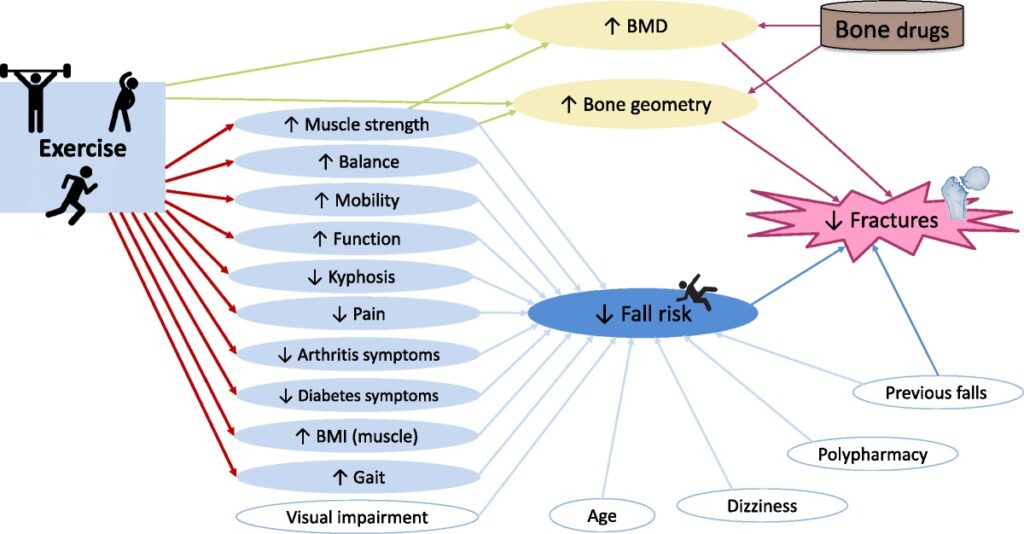 Osteopat hos OsteoDanmark hjælper patient med osteoporose til bedre bevægelse og stærkere knogler gennem skånsom behandling.